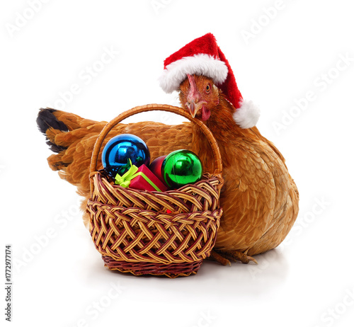 Brown hen in Santa hat sitting near Christmas basket with gift and holiday decorations.