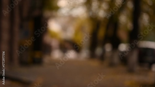 city ​​streets autumn evening defocused background