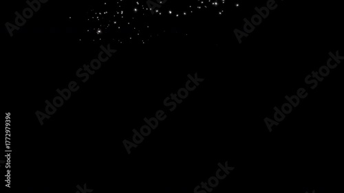 Luxury Christmas  spiral white glitter sparkles magical stars going up raising in a shape of Christmas Tree on black.