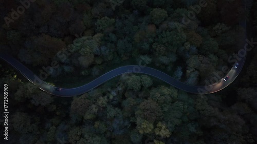 Curvy Forest Road at Night with Car Lights – Aerial View