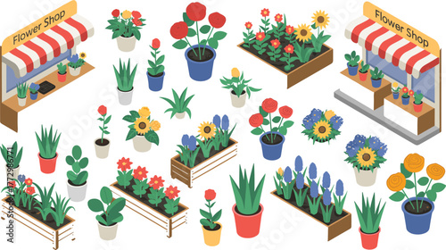 Isometric flower shop market illustration with colorful pots of roses, sunflowers, and plants in outdoor stalls and wooden planters