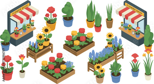 Isometric flower shop market illustration with colorful pots of roses, sunflowers, and plants in outdoor stalls and wooden planters
