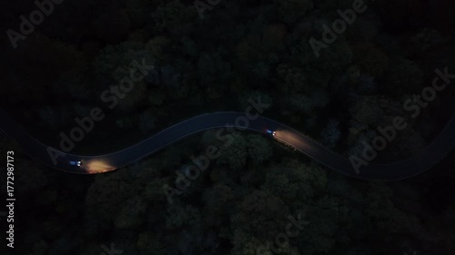 Curvy Forest Road at Night with Car Lights – Aerial View