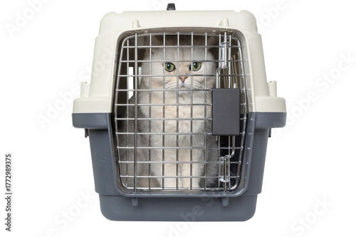 White cat in pet carrier with gridded door on transparent background