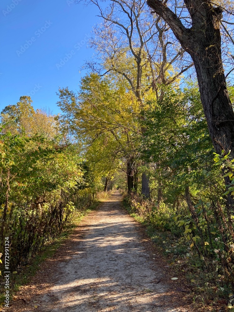 Fototapeta premium path in autumn park