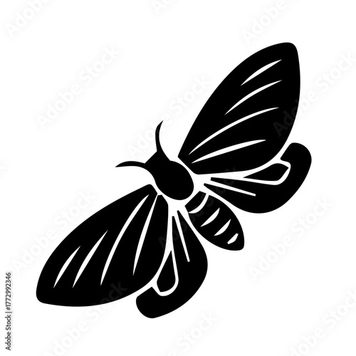 Moth black silhouette isolated on transparent or white background, vector illustration.