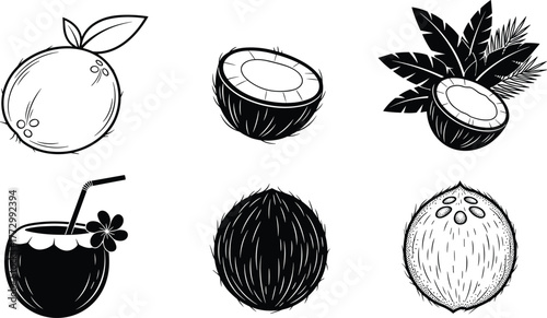 Black and white coconut vector set, tropical fruit illustration, whole and half coconut design, summer drink and palm leaves art