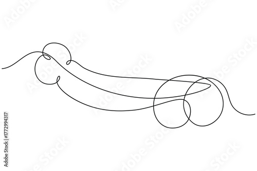 Human reproductive organ penis continuous one line drawing on white background minimalist anatomy organ outline vector illustration
