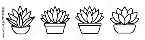 Drawing of potted succulents line art vector illustration minimalist home decor plants design graphic element