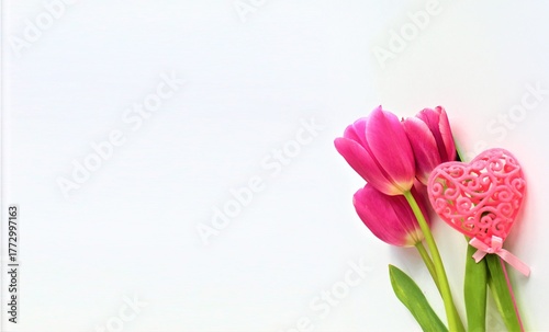 Bouquet of pink tulips on a white background.  Background for greetings and postcards.
