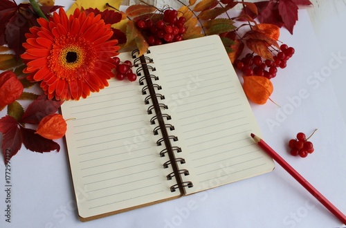 A notebook, autumn leaves and a gerbera flower on a white background. Background for greetings and postcards.