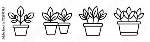 Houseplants in pots vector illustration for indoor plants and gardening design elements and decoration