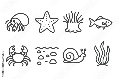 Tide Pool Icons. Line style icons of Wildlife Tide Pool: Hermit Crab, Starfish, Anemone, Small Fish, Crab, Retreating Tide, Snail,