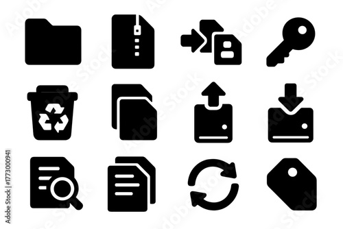 Digital File Icons. Solid style icons of digital file management: folder, zip archive, shared file, permissions key, recycle bin,