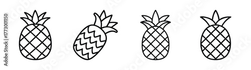 Pineapple fruit vector illustration drawing set tropical summer food design graphic outline art 