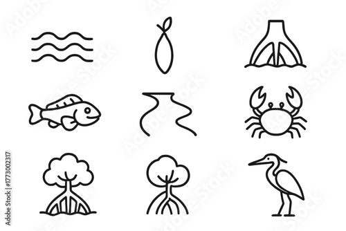 Mangrove Icons Collection. Line style icons of Mangrove Forest: Tide, Seed Pod, Prop Roots, Mudskipper, Estuary, Crustacean,