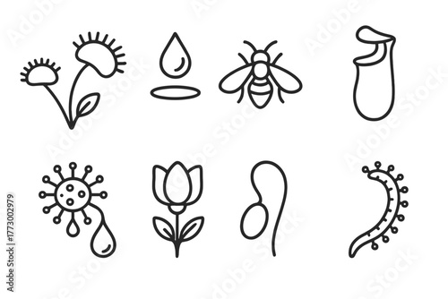 Carnivorous Plant Icons. Line style icons of Carnivorous Plant: Venus Flytrap, Digestive Fluid, Lured Insect, Pitcher Plant,