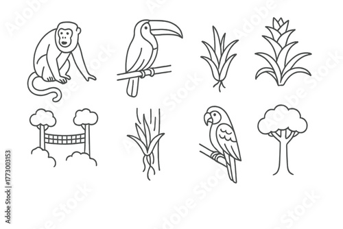 Rainforest Canopy Icons. Line style icons of Rainforest Canopy: Howler Monkey, Toucan, Bromeliad, Canopy Walkway, Epiphyte, Macaw,
