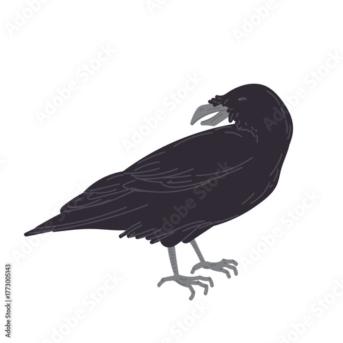 Halloween black crow or raven in flat cartoon design. Autumn holiday celebration creepy symbol, mystery and mythology bird character with dark feathers, claws and beak. Vector illustration isolated.