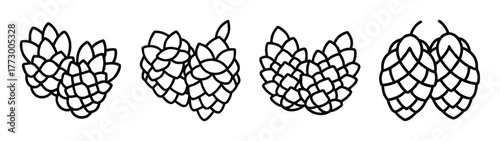 Hand drawn hop cones vector illustration for brewing design and beer ingredient artwork usage