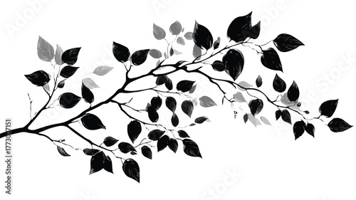 Elegant Black Tree Branch with Leaf on White Background Vector