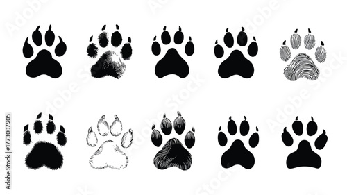 Professional Paw Footprint Icon Set - Various Paw Print Icons Collection