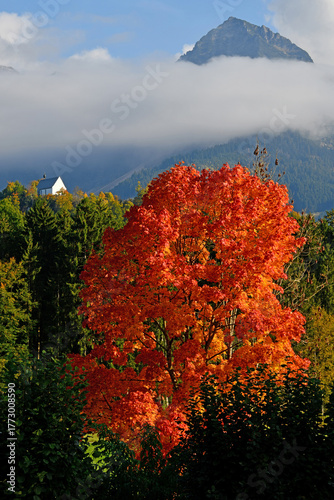 D856939 Fall foliage, Schöllang Castle Church, Rubihorn