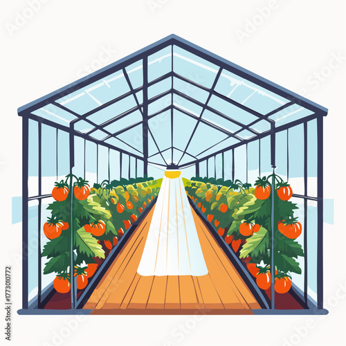 Spraying tomatoes in the greenhouse 