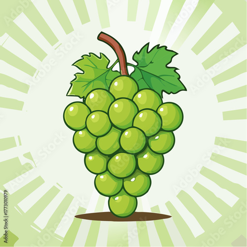 vector illustration of grapes