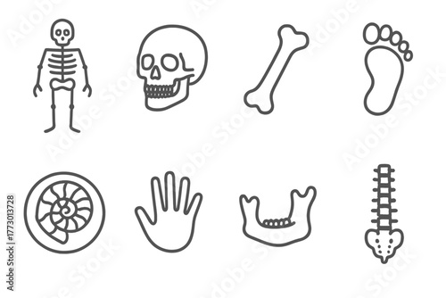 Anthropology Line Icons. Line style icons of Physical Anthropology: Skeleton, Skull, Bone, Footprint, Fossil, Handprint, Jawbone,