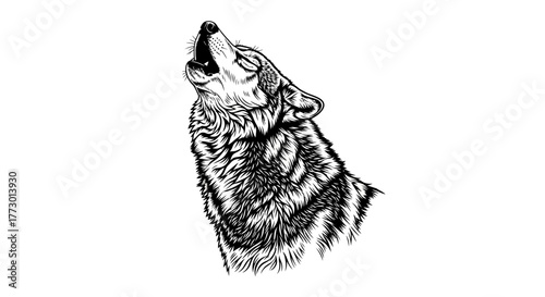 Abstract organic shapes with flowing lines and subtle gradients