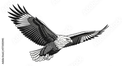 Abstract geometric shapes with flowing curves and organic elements