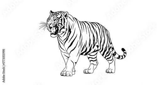 Abstract geometric shapes with flowing lines and curves in rgb color