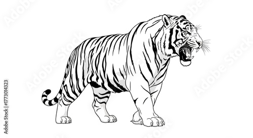 Abstract geometric shapes with flowing lines and curves in rgb color