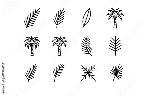 Collection of simple line drawings of palm trees and leaves in a minimalist style