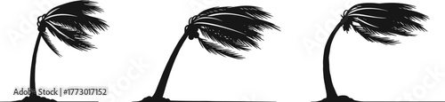 Strong wind bending palm trees, tropical storm silhouette, nature resilience, coastal hurricane force