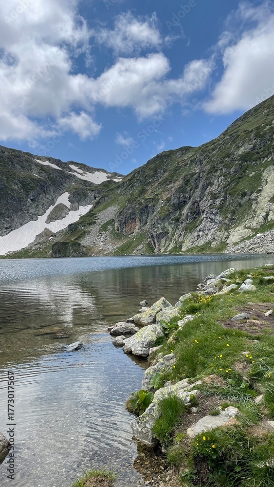 Fototapeta premium river in the mountains