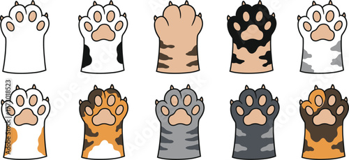 Vibrant collection of unique cat paws showing fur diversity