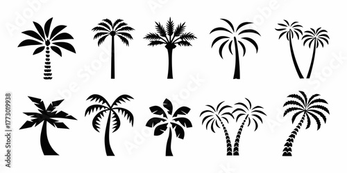 Collection of diverse black silhouette palm tree icons representing different styles and shapes for tropical themes