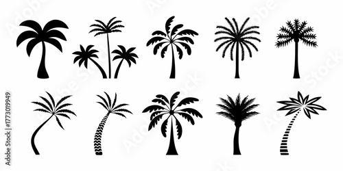 Collection of diverse black silhouette palm trees isolated on white background