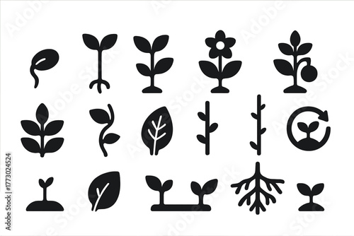 Plant Growth Icons. Solid style icons of Growth stages: seed germination, sprout growth, young plant, budding plant, flowering