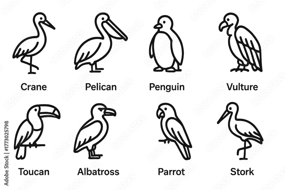 Obraz premium Endangered Bird Icons. Line style icons of Endangered Birds: Crane, Pelican, Penguin, Vulture, Toucan, Albatross, Parrot, Stork,