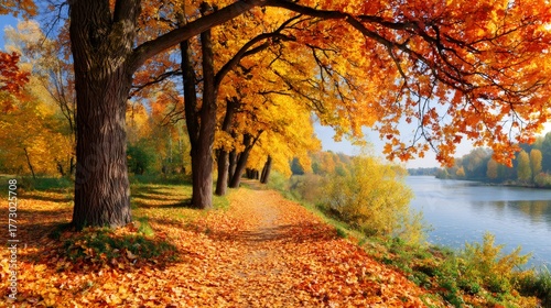 Autumn trees lining path by river with colorful foliage