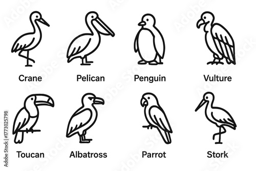 Endangered Bird Icons. Line style icons of Endangered Birds: Crane, Pelican, Penguin, Vulture, Toucan, Albatross, Parrot, Stork,
