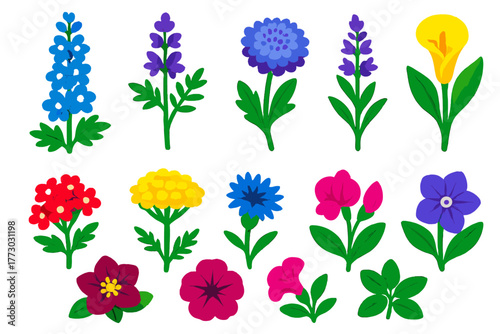 Vibrant Flower Icons. Isometric vector illustration set Various Flowers: delphinium, larkspur, scabiosa, salvia, verbena, yarrow,