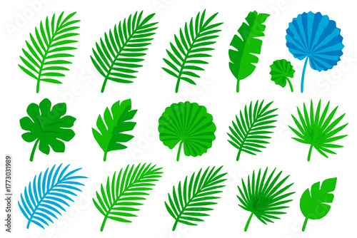 Tropical Leaf Icons. Isometric vector illustration set Tropical and Decorative Leaves: areca palm leaf, date palm leaf, royal palm