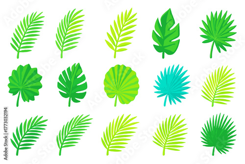Tropical Leaf Icons. Isometric vector illustration set Tropical and Decorative Leaves: areca palm leaf, date palm leaf, royal palm