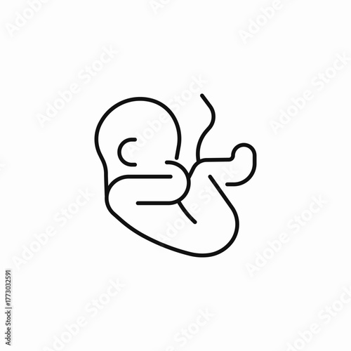 fetus umbilical cord icon sign vector