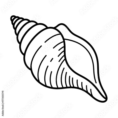 Elegant Sea Shell Outline Art Printable Coloring Sheet for Kids and Adults