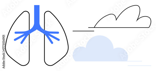 Lungs with airways in blue alongside minimalist cloud shapes symbolizing clean air, respiration, environment. Ideal for health, healthcare, environment, clean energy, sustainability, wellness